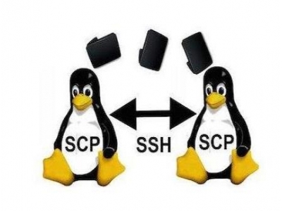 scp (远程文件复制)